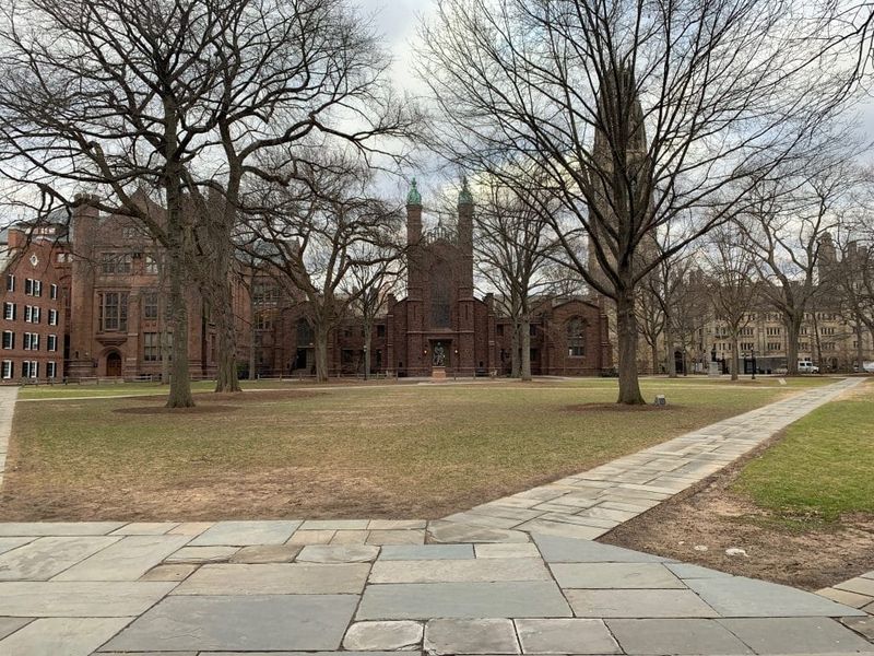 The Yale campus in winter—a view across the quad toward one of Yale's iconic Gothic buildings