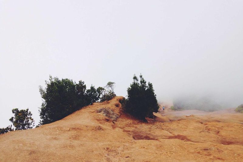 Copyright Deposit Requirement