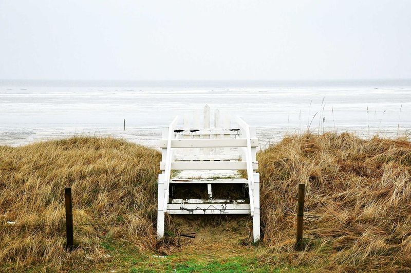 Week 14 at YDS: Finals at Yale