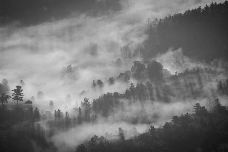 Parents Dying Without a Will